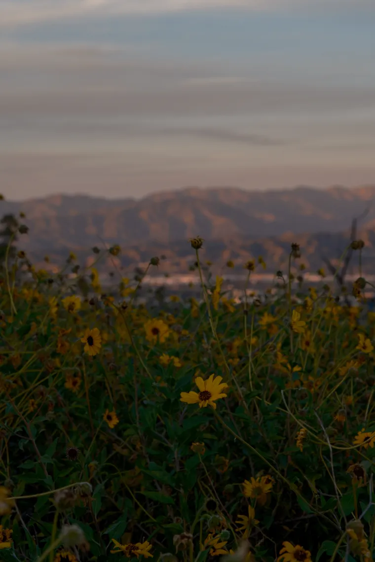 Photograph by Danielle Dinstman