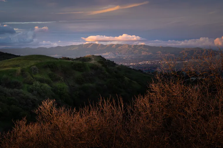 Photograph by Danielle Dinstman