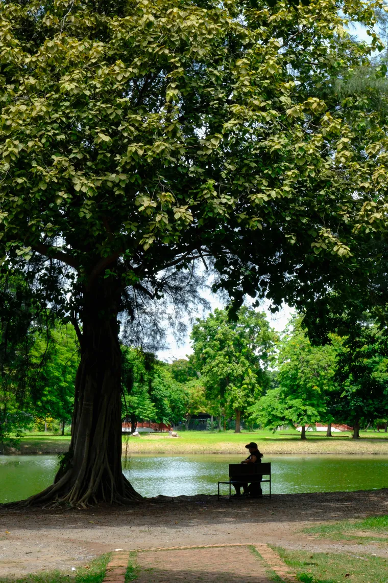Photograph by Danielle Dinstman