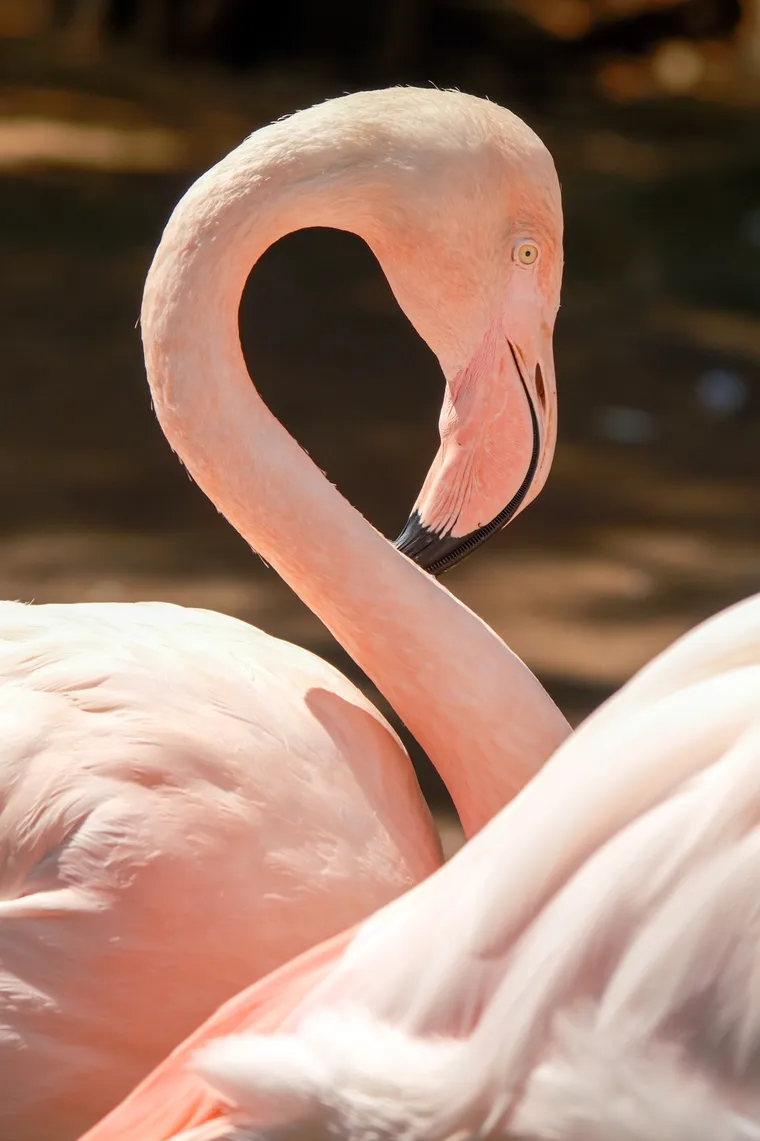 Photograph by Danielle Dinstman
