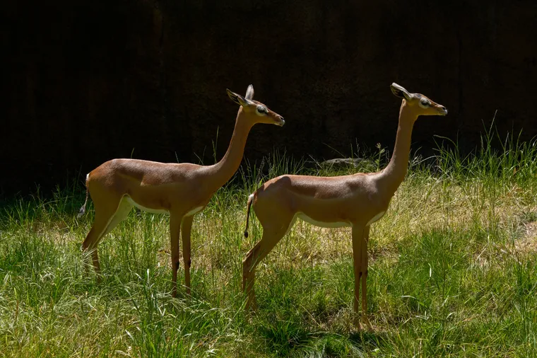 Photograph by Danielle Dinstman