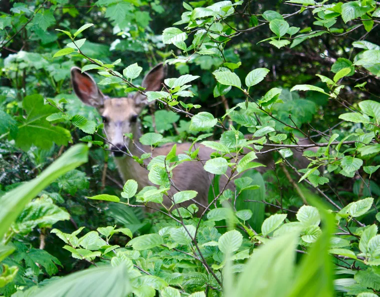 Photograph by Danielle Dinstman