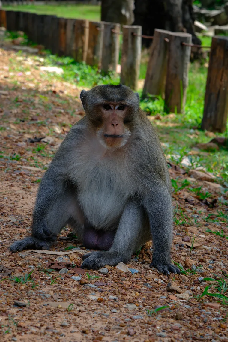 Photograph by Danielle Dinstman