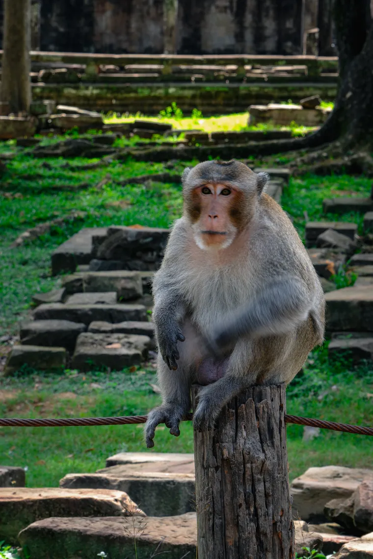 Photograph by Danielle Dinstman