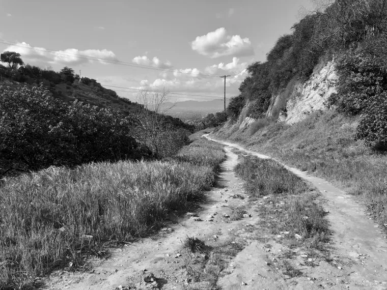 Photograph by Danielle Dinstman
